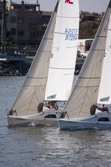 Foto op Plexiglas two sailboats © jc