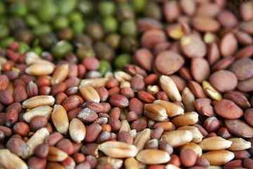 seeds background