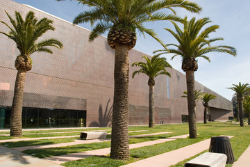 de young museum bench and palms