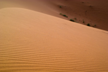 dunes