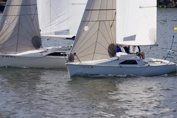 Aluminium Prints Water Motor sports two sailboat racing in the harbor