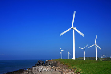 wind farm with copy space