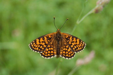 Obraz premium legerete et purete