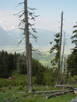 schwarzerberg