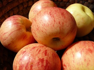 pommes dans un panier