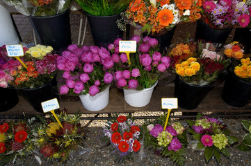 fleuriste au marché