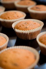 muffins