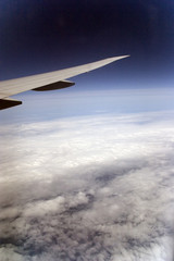 Fototapeta premium aile d'avion