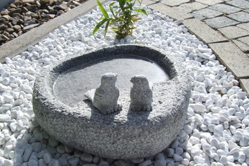 vogeltränke