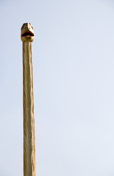 mamenchisaurus constructus