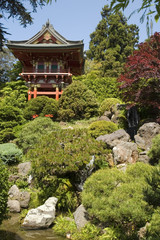 Obraz premium temple gate, and bushes portrait