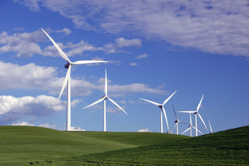 power generating windmills © Terrance Emerson