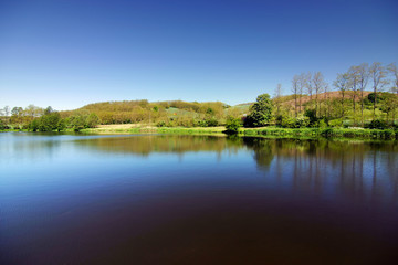 romantic spring/summer scenery with lake and sky