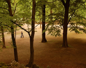 passeggiata nel parco