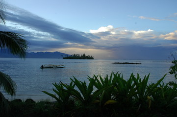 moorea2