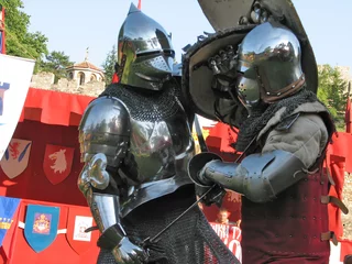 Rolgordijnen riddergevecht © Vladislav Gajic