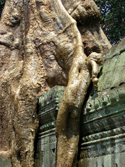 angkor - cambodia - asia