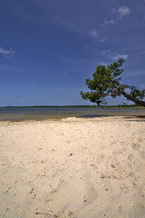 plage des landes