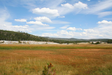 valley meadow