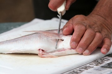 filleting fish