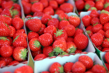 barquette de fraises #2