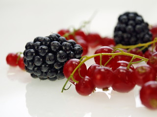 brombeeren und johannisbeeren