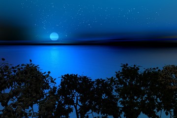 south  night