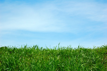 green field and a blue sky with clouds