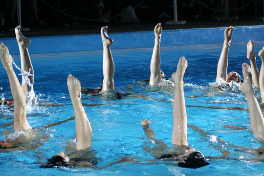 42 Best Natation Synchronisee Images Stock Photos Vectors Adobe Stock