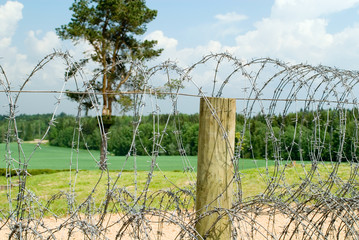barbed wire
