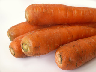carrot