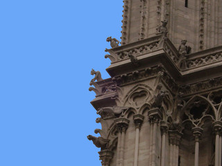 Fototapeta na wymiar Szczegóły Notre Dame de Paris