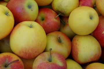 apfel