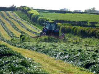 tractor spreading grass