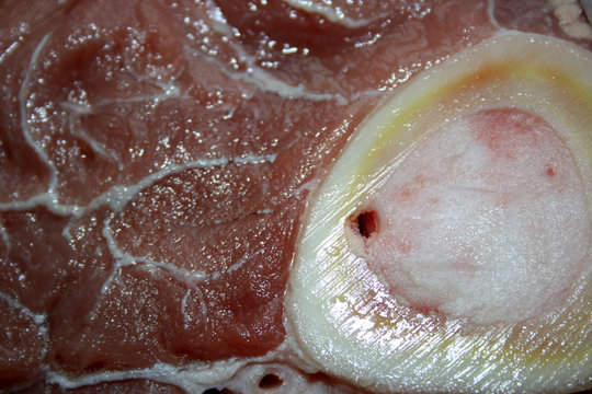 rohes fleisch