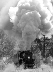steam train