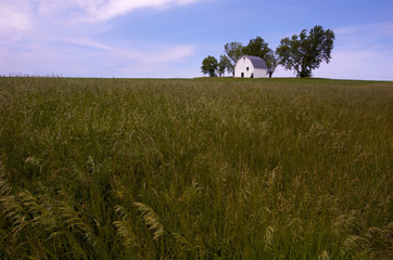 rural landscape