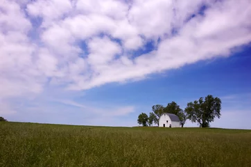 Wall murals purple rural landscape