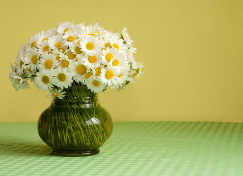 Big Daisy Bouquet In A Vase