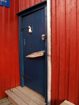 blue door on a red wall