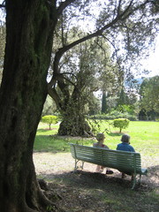 repos à l'ombre