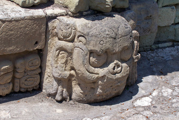 stone head of maya