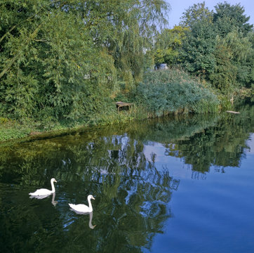 River Great Ouse