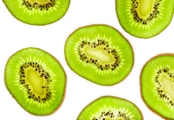 Fototapeta premium kiwi