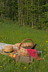 panier de pique-nique dans l'herbe
