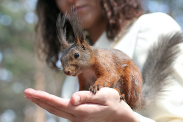 women with squirrel on hand