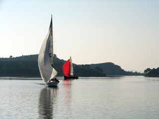 yachts on calm