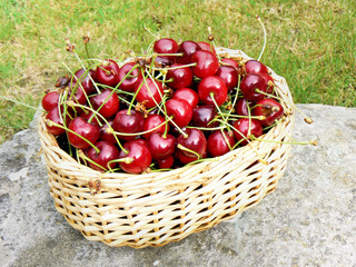 panier de cerises