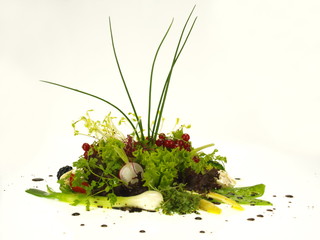 sommersalat mit kräutermischung und vinaigrette dressing