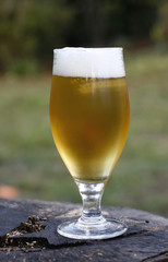 beer